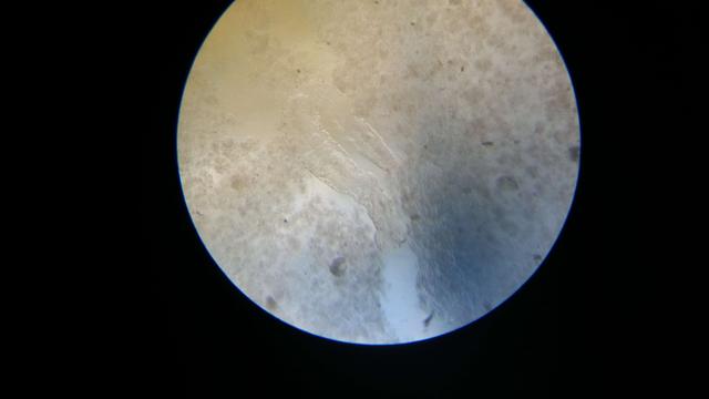 20160525_101520.jpg